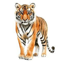 My Watercolor illustration with tiger painting isolated on a white background, illustration, AI painting design, vector set, eps format, My illustration design