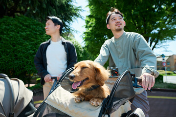 男性と犬が歩く公園風景