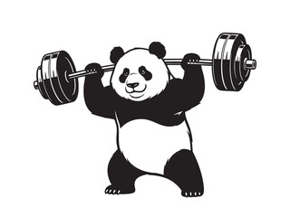 Vector illustration of a strong panda doing weightlifting, a funny fitness concept.