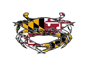 Professional vector illustration of crab   Copy
