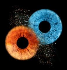 Iris photography by Rick 20
