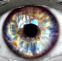 Iris photography by Rick 4