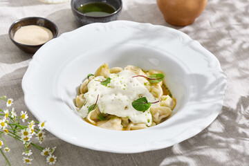 Pelmeni with cheese espuma, bright natural lighting, overhead composition in artisan white bowl