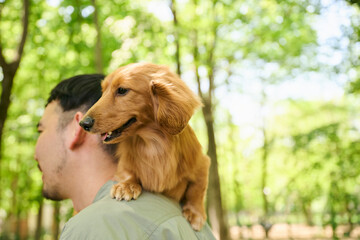 森の中で犬と男性のハーモニー