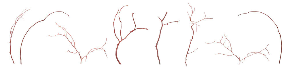 
These are abstract red tree branches that I actually photographed. They are transparent and editable.