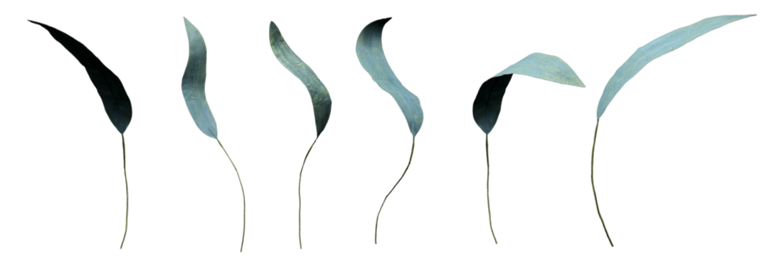 A mint colored leaf made of paper, symbolizing strong vitality. It is transparent and editable.