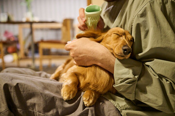 犬を抱えるリラックスした男性
