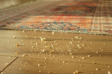 Crumbs lie scattered on a wooden floor, dirty floor concept 