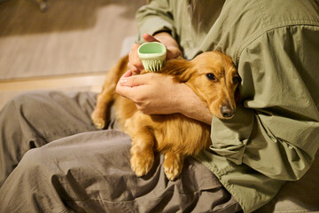 愛犬を抱える男性の日常風景