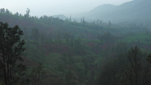 Wide misty landscape near Ijen Volcano in East Java, Indonesia, reveals lush tropical terrain blanketed in soft fog.