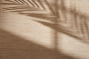 Wood texture background with natural shadows and silhouettes of leaves from natural light streaming through a window.