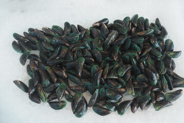Freshly harvested green mussels on ice at a market