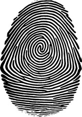 Vector format of finger print.