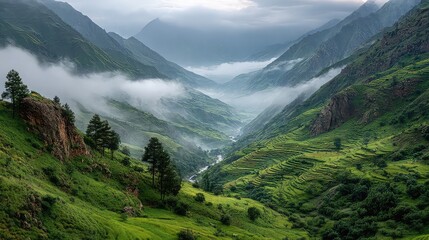 Obraz premium : A misty dawn over the mountain valley's verdant rice terraces