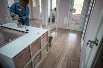 Woman employee measure cat food on scale in grams for feeding time. Cat waits eagerly near. Feeding...