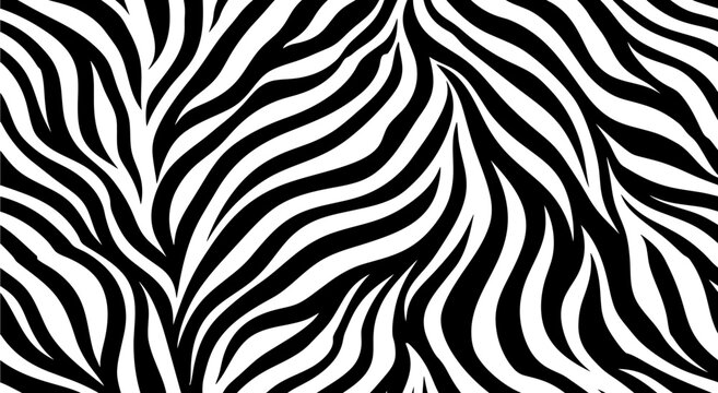 black and white ZEBRA  abstract background