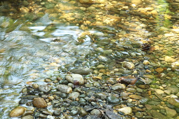 Rocks and pebbles under running creek water.