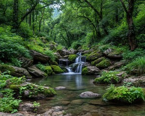 Obraz premium Lush forest stream cascading