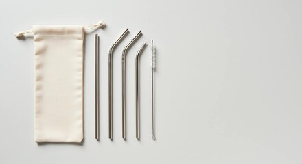 eco-friendly reusable metal straw. zero waste concept