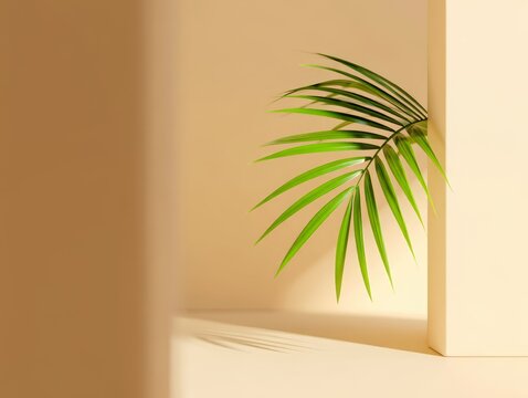 Fototapeta Minimalist scene with green palm leaf and soft shadows