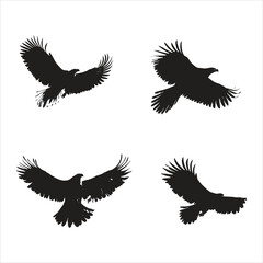 Fototapeta premium vector silhouette of a black eagle, bird, eagle, silhouette, vector, flying, animal, illustration, wing, tattoo, hawk, black, birds, nature, feather, falcon, design, symbol, wings, wild, art, fly, wil