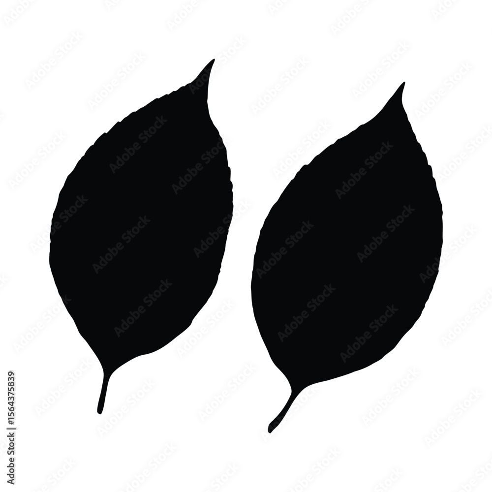 Poster two black leaf silhouettes on a white background with pointed tips and visible veins in a simple com