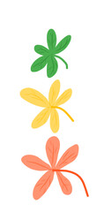 Fototapeta premium orange flower on white background