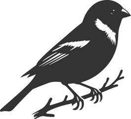 Finch bird black vector drawing silhouette illustration