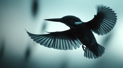 Obraz premium Flying Bird with Open Wings Against Soft Background