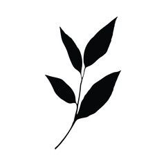 Black silhouette of leaves on a stem against a white background botanical illustration leaf 1