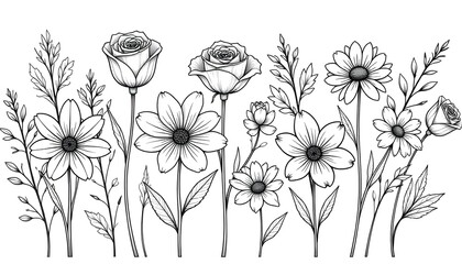 Detailed line art illustration of a diverse flower collection, including roses. Simple rose vector.
