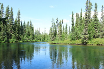 View of river and trees from the riverbank