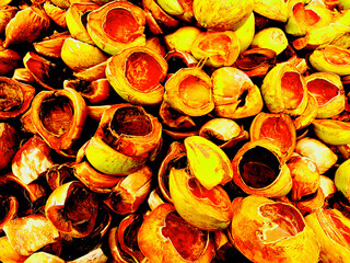 Pile of Empty Coconut Shells in Vibrant Natural Texture and Color