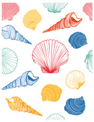 set of seashells