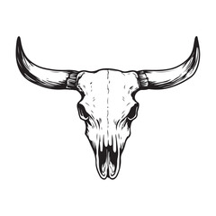 Black and white illustration of a bull skull with large horns. Vector illustration 