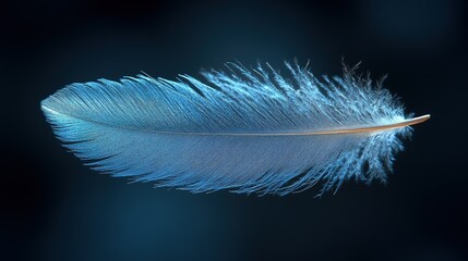 Obraz premium Minimalist Ethereal Floating Feathers in Soft Light with Air and Water Elements