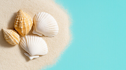 Seashells on Sand Against a Turquoise Background