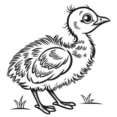 Obraz premium hand drawn vector illustration of a bird