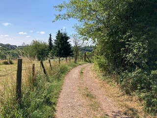 Landschaft mit Feldweg und Weidezaun  im Sommer 