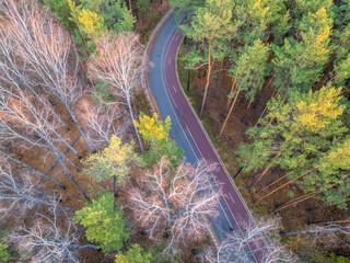 Aerial view of road in beautiful autumn forest at sunset. Beautiful landscape with empty rural road, trees with red and orange leaves.