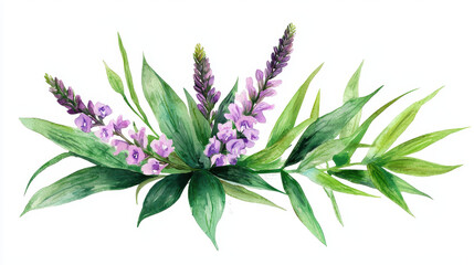 Obraz premium Watercolor botanical illustration featuring vibrant purple flowers and lush green leaves, evoking sense of tranquility