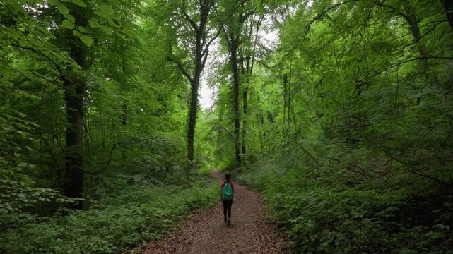 Wide view of a woman hiker walking down a dense forest trail.