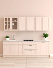 modern kitchen in modern style