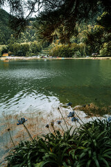 Sao Miguel Azores PortugalCalm Waters and Vegetation of Furnas Lake, Sao Miguel, Azores