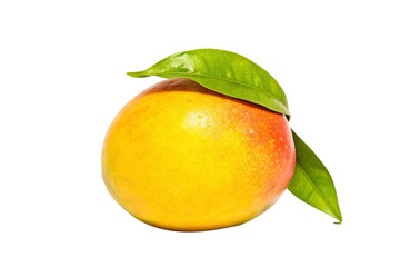 Mango Fruit isolated on Transparent Background