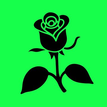 Black rose silhouette animation, transparent 4K video, green screen