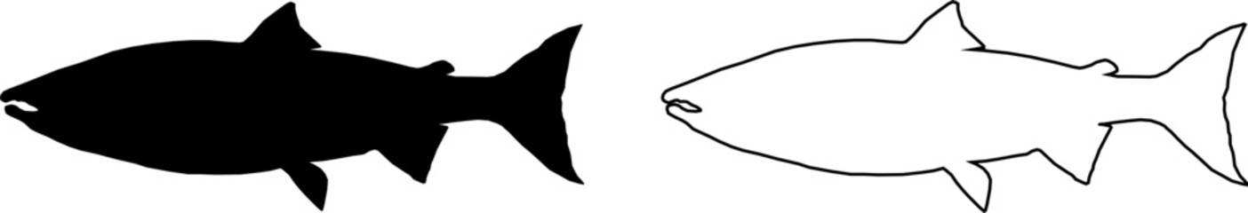 fish salmon silhouette set.  fish salmon silhouette isolated silhouette icon vector collection. Vector illustration