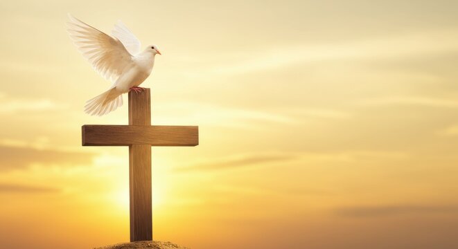 White dove perched on a wooden cross against a serene sunset sky, symbolizing peace and hope
