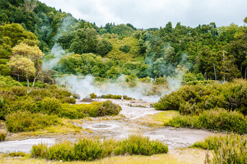 Caldeiras da Furnas Sao Miguel Azores Portugal