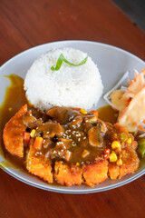 Chicken Katsu Curry, Indonesia, captured on July 4, 2025. Crispy breaded chicken served with Japanese-style curry sauce and rice for a savory and comforting meal.